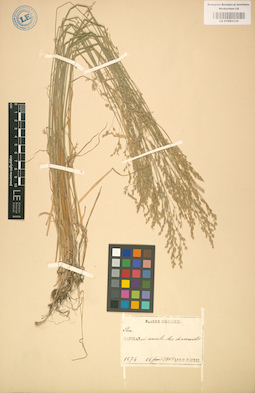 LE 01002238