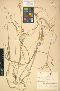 LE 01002239