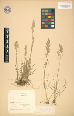 LE 01002241