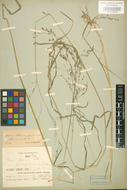 LE 01002242