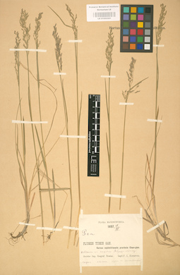LE 01002281