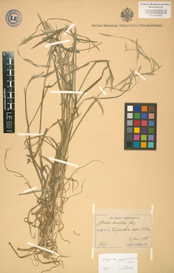 LE 01002293