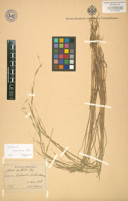 LE 01002294