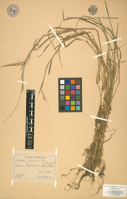 LE 01002296