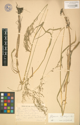 LE 01002297