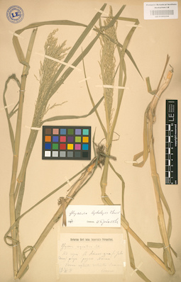 LE 01002298