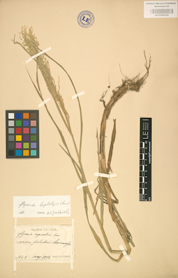 LE 01002299