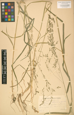 LE 01002300