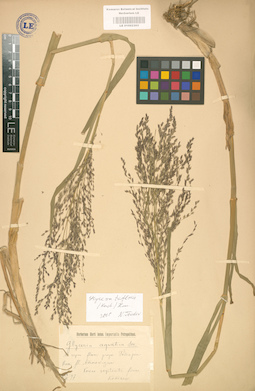 LE 01002303