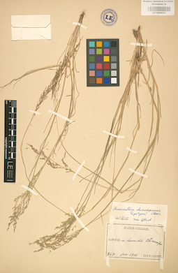 LE 01002305