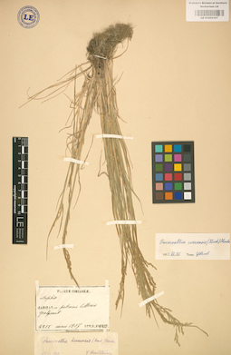 LE 01002307