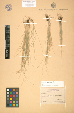 LE 01002315