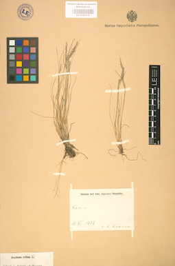 LE 01002318