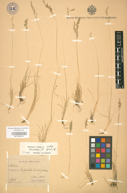 LE 01002321