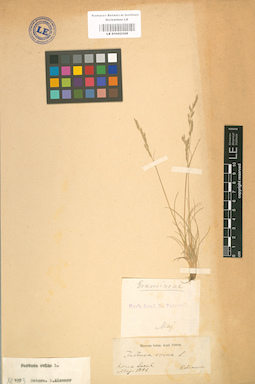 LE 01002328