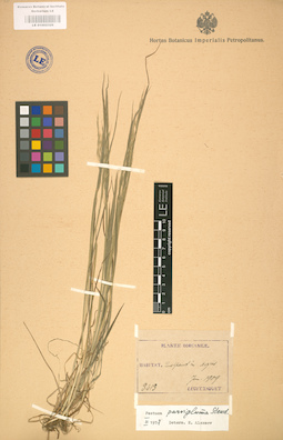LE 01002329