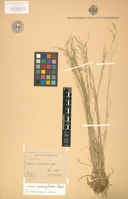 LE 01002331