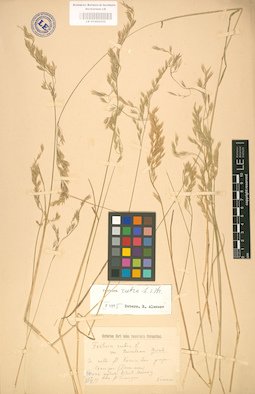 LE 01002332