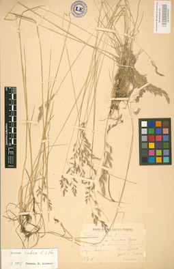LE 01002333