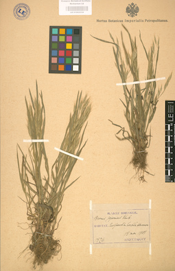 LE 01002334
