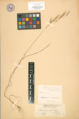 LE 01002335