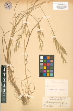 LE 01002336
