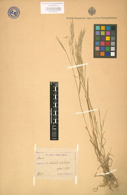 LE 01002337