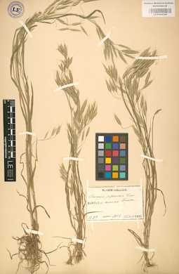 LE 01002338