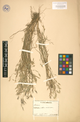 LE 01002339