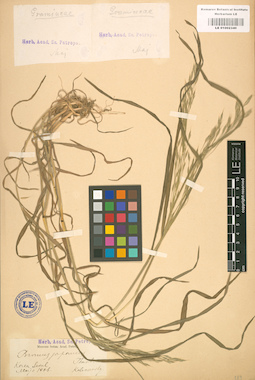 LE 01002340