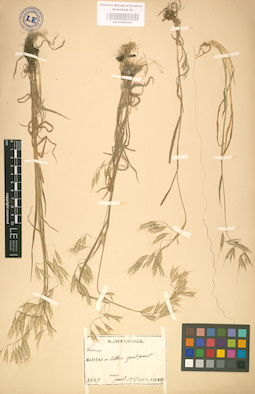 LE 01002341