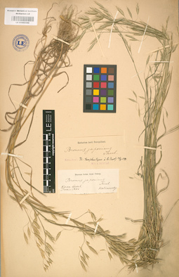 LE 01002342