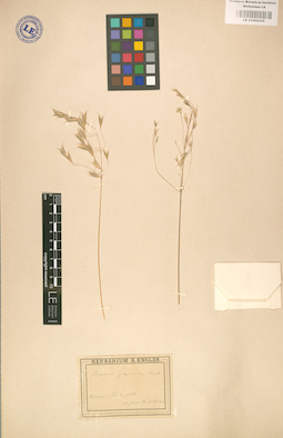 LE 01002343