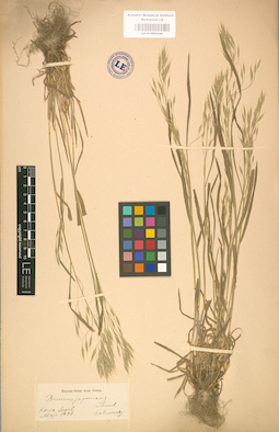 LE 01002344