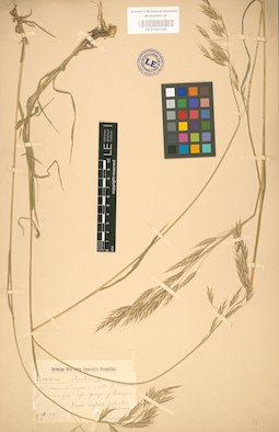 LE 01002345