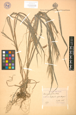 LE 01002346