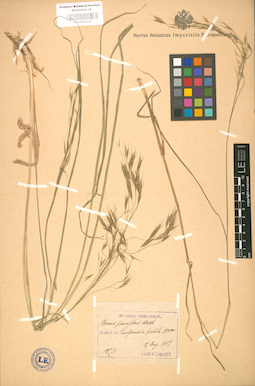 LE 01002347