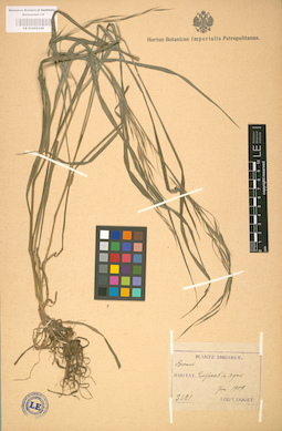 LE 01002348