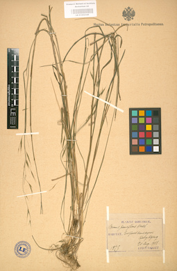 LE 01002349