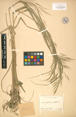 LE 01002350
