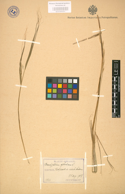 LE 01002351