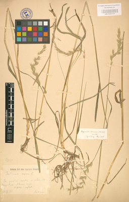 LE 01002355