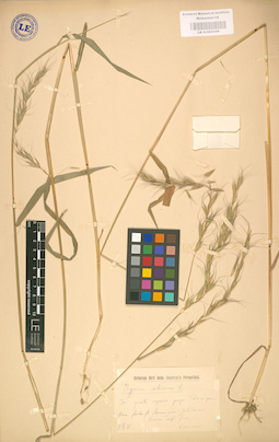 LE 01002358