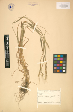LE 01002361