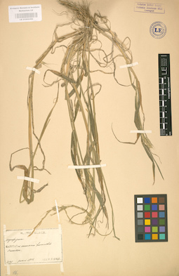 LE 01002362