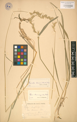 LE 01002363