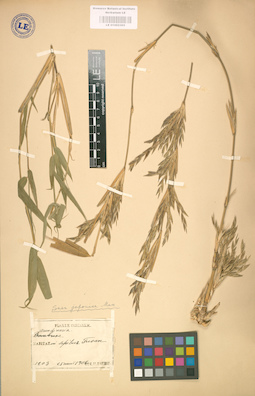 LE 01002365