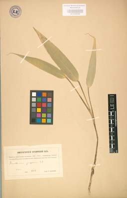 LE 01002366