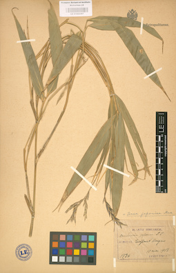 LE 01002367
