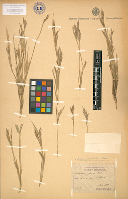 LE 01002368